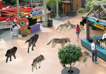 Timber Wolf Mistakenly Reintroduced Into Mall Of America