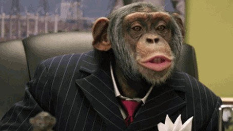 Chimpanzees Now Capable of Legislating