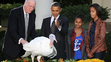 Did Pardoned Turkey Rejoin Anti-Thanksgiving Extremist Group?