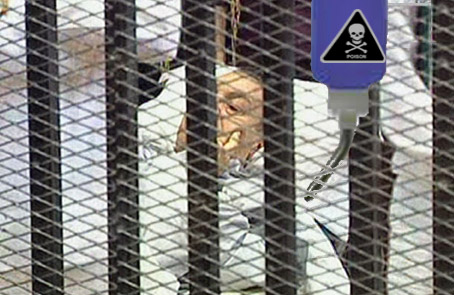 Egypt: Mubarak Faces Lethal Dose via Water Dispenser, All hamster ball and wheel activities indefinitely suspended.