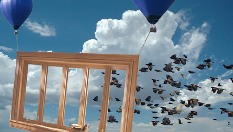 Did All 5,000 Birds Die by Flying into a Large Window Suspended from Two Hot Air Balloons?