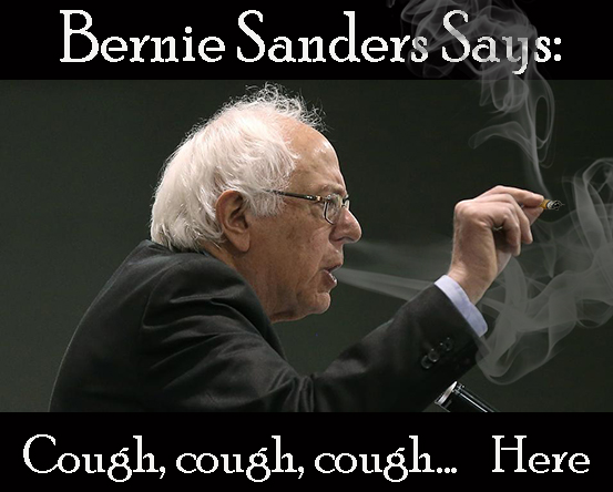 Bernie sanders on legalization