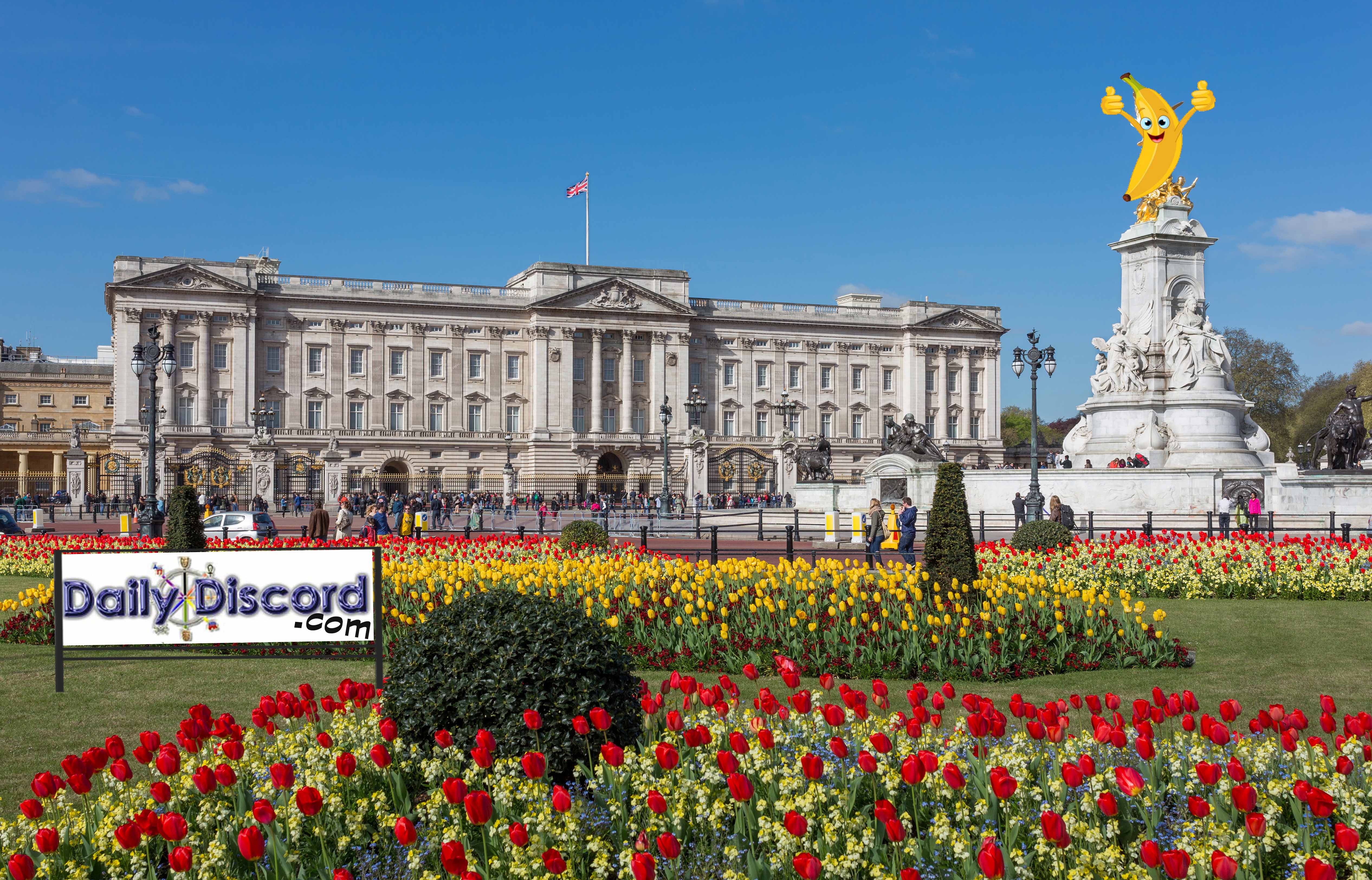 Buckingham_Palace_from_gardens,_London,_UK_-_DiliffnML